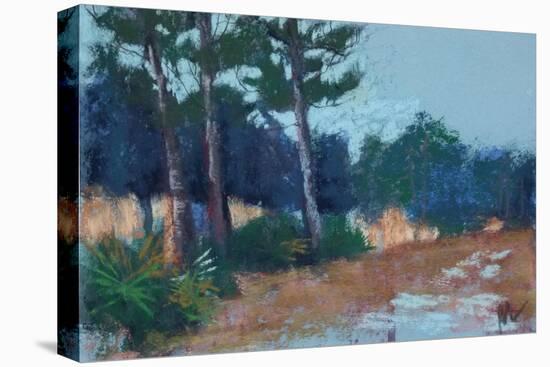 Lean to the Left, Julington Durbin Preserve Series-Marie Marfia Fine Art-Stretched Canvas