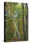 Leaning Birch Vertical-Robert Goldwitz-Stretched Canvas