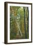 Leaning Birch Vertical-Robert Goldwitz-Framed Photographic Print