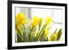 Leaning Daffodils-Karyn Millet-Framed Photographic Print