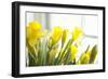 Leaning Daffodils-Karyn Millet-Framed Photographic Print