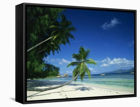 Leaning Palm Tree and Beach, Anse Severe, La Digue, Seychelles, Indian Ocean, Africa-Lee Frost-Framed Stretched Canvas