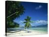 Leaning Palm Tree and Beach, Anse Severe, La Digue, Seychelles, Indian Ocean, Africa-Lee Frost-Stretched Canvas