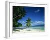 Leaning Palm Tree and Beach, Anse Severe, La Digue, Seychelles, Indian Ocean, Africa-Lee Frost-Framed Photographic Print