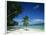 Leaning Palm Tree and Beach, Anse Severe, La Digue, Seychelles, Indian Ocean, Africa-Lee Frost-Framed Photographic Print