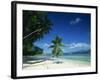 Leaning Palm Tree and Beach, Anse Severe, La Digue, Seychelles, Indian Ocean, Africa-Lee Frost-Framed Photographic Print