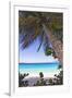 Leaning Palm, Trunk Bay, US Virgin Islands-George Oze-Framed Photographic Print