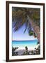 Leaning Palm, Trunk Bay, US Virgin Islands-George Oze-Framed Photographic Print