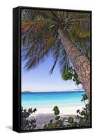 Leaning Palm, Trunk Bay, US Virgin Islands-George Oze-Framed Stretched Canvas