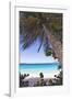 Leaning Palm, Trunk Bay, US Virgin Islands-George Oze-Framed Photographic Print