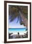 Leaning Palm, Trunk Bay, US Virgin Islands-George Oze-Framed Photographic Print