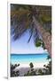 Leaning Palm, Trunk Bay, US Virgin Islands-George Oze-Framed Photographic Print