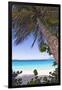 Leaning Palm, Trunk Bay, US Virgin Islands-George Oze-Framed Photographic Print