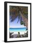 Leaning Palm, Trunk Bay, US Virgin Islands-George Oze-Framed Premium Photographic Print