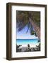 Leaning Palm, Trunk Bay, US Virgin Islands-George Oze-Framed Photographic Print