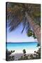 Leaning Palm, Trunk Bay, US Virgin Islands-George Oze-Stretched Canvas