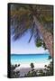 Leaning Palm, Trunk Bay, US Virgin Islands-George Oze-Framed Stretched Canvas