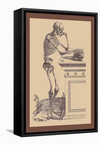 Leaning Skeleton-Andreas Vesalius-Framed Stretched Canvas
