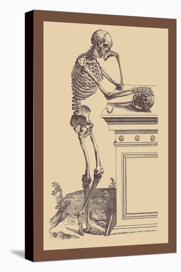 Leaning Skeleton-Andreas Vesalius-Stretched Canvas