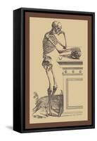 Leaning Skeleton-Andreas Vesalius-Framed Stretched Canvas