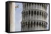 Leaning Tower of Pisa, Tuscany, Italy-Martin Child-Framed Stretched Canvas