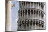 Leaning Tower of Pisa, Tuscany, Italy-Martin Child-Mounted Photographic Print