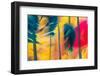 Leaning Trees-Ursula Abresch-Framed Photographic Print