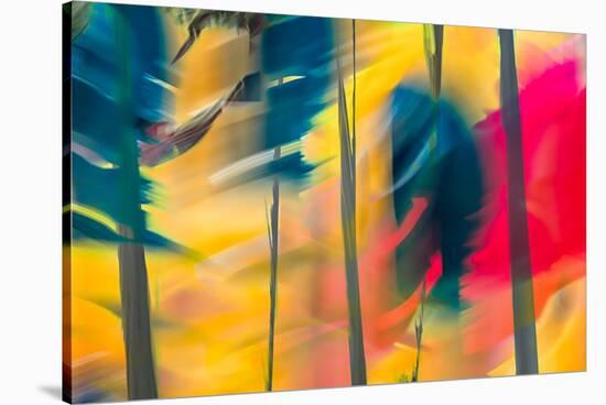 Leaning Trees-Ursula Abresch-Stretched Canvas