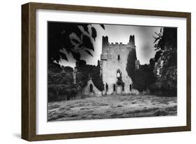 Leap Castle, County Offaly, Ireland-Simon Marsden-Framed Giclee Print