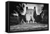 Leap Castle, County Offaly, Ireland-Simon Marsden-Framed Stretched Canvas