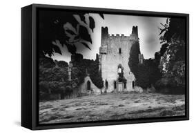 Leap Castle, County Offaly, Ireland-Simon Marsden-Framed Stretched Canvas