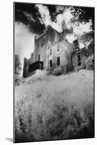 Leap Castle, County Offaly, Ireland-Simon Marsden-Mounted Giclee Print