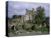 Leap Castle, Near Birr, County Offaly, Leinster, Eire (Republic of Ireland)-Michael Short-Stretched Canvas