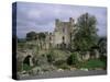 Leap Castle, Near Birr, County Offaly, Leinster, Eire (Republic of Ireland)-Michael Short-Stretched Canvas