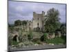 Leap Castle, Near Birr, County Offaly, Leinster, Eire (Republic of Ireland)-Michael Short-Mounted Photographic Print