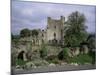 Leap Castle, Near Birr, County Offaly, Leinster, Eire (Republic of Ireland)-Michael Short-Mounted Photographic Print