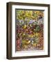 Leap Frog-Bill Bell-Framed Giclee Print