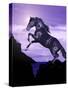 Leap of Faith-Bob Langrish-Stretched Canvas