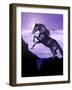 Leap of Faith-Bob Langrish-Framed Photographic Print