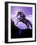 Leap of Faith-Bob Langrish-Framed Photographic Print