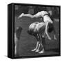 Leapfrog-null-Framed Stretched Canvas