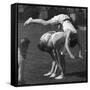 Leapfrog-null-Framed Stretched Canvas