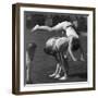 Leapfrog-null-Framed Photographic Print