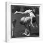 Leapfrog-null-Framed Photographic Print