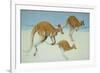 Leaping Ahead-Pat Scott-Framed Premium Giclee Print