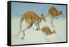 Leaping Ahead-Pat Scott-Framed Stretched Canvas