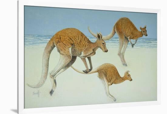 Leaping Ahead-Pat Scott-Framed Giclee Print