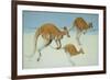 Leaping Ahead-Pat Scott-Framed Giclee Print