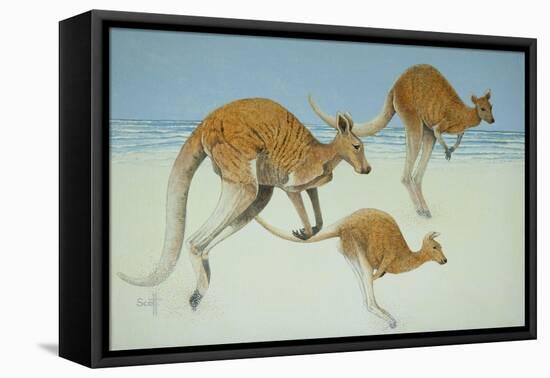 Leaping Ahead-Pat Scott-Framed Stretched Canvas