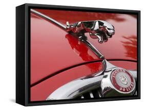 Leaping cat mascot on Jaguar 3.8 litre-null-Framed Stretched Canvas